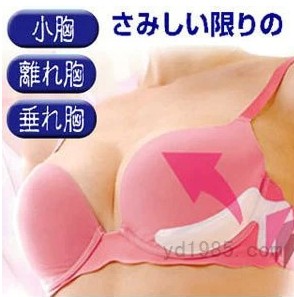 Pads pour soutien-gorge - Ref 819497