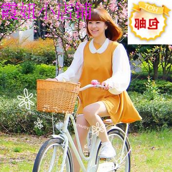 Panier pour vélo en vigne - Ref 2256584