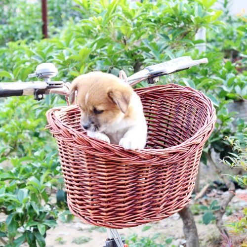 Panier pour vélo QUISKI en vigne - Ref 2256657