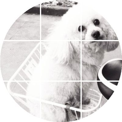 Panier pour vélo - Ref 2256682