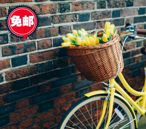 Panier pour vélo en vigne - Ref 2258825