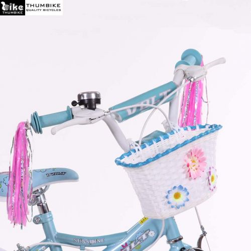 Panier pour vélo RAYMAX en plastique - Ref 2260645