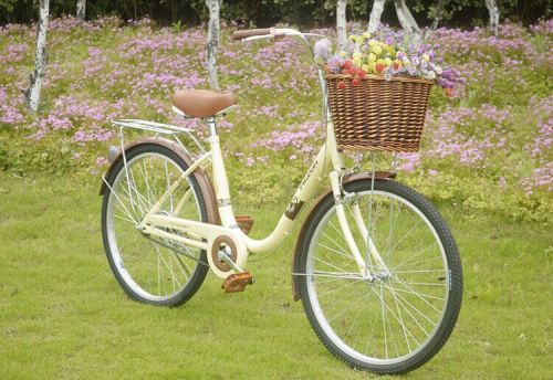 Panier pour vélo en vigne - Ref 2268510