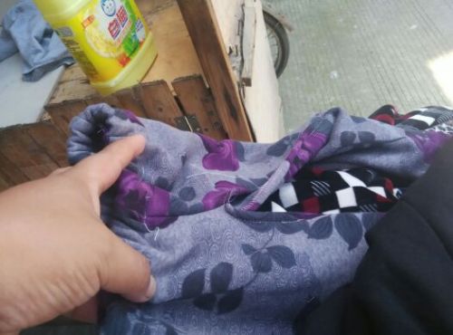 Pantalon collant - Ref 762178