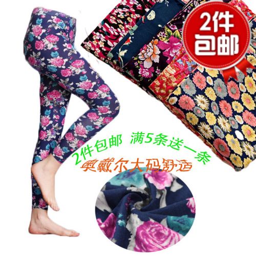 Pantalon collant Moyen-âge simple - Ref 764065