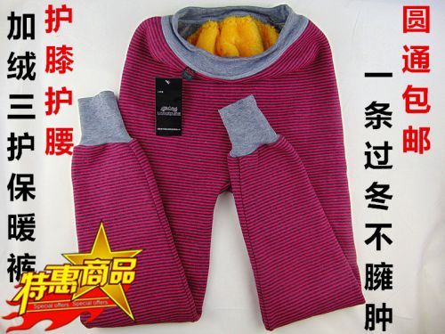 Pantalon collant - Ref 764266