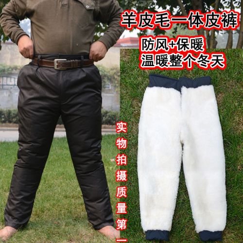 Pantalon cuir homme droit pour personne âgée Peau de mouton hiver - Ref 1494111