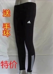 Pantalon de sport mixte en nylon - Ref 2007800