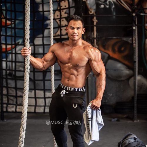 Pantalon de sport pour homme MUSCLE - Ref 2005208