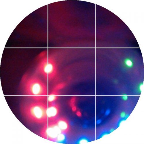 Patins à roulettes - Ref 2584734