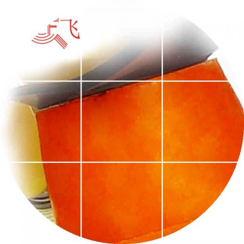 Patins à roulettes - Ref 2584782