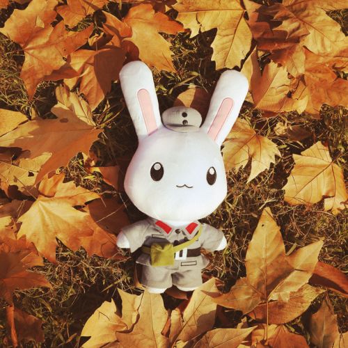 Peluche manga en peluche Cette annee-la etait le lapin cette chose - Ref 2694834
