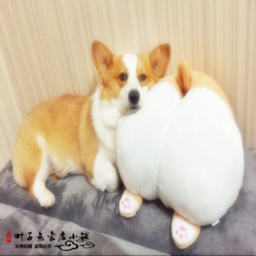 Peluche manga en peluche oreiller Ass - Ref 2694954