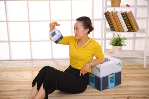 Peluche manga en peluche Rye Pioneer - Ref 2696044