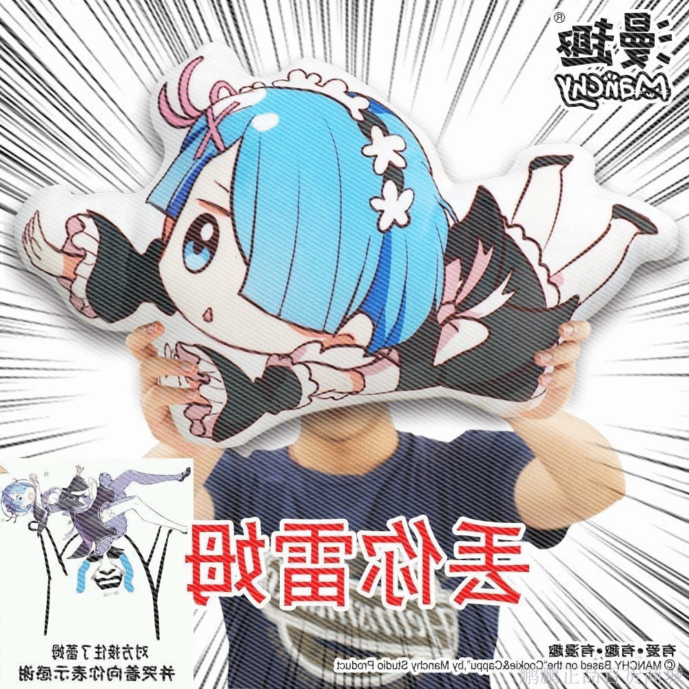 Peluche manga OTHER en peluche Le monde different vie a base zero - Ref 2697106