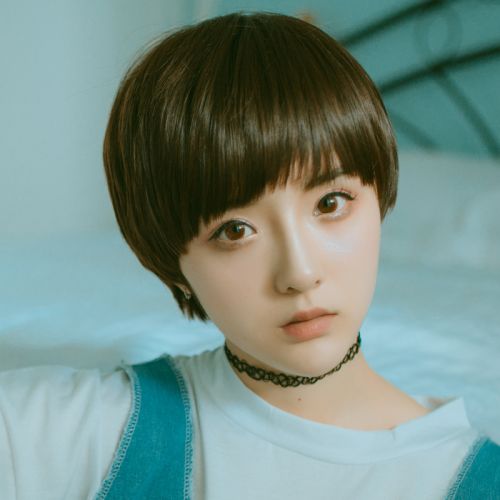 Perruque TIANMEI WIGS cheveux raides Court - Ref 2607520