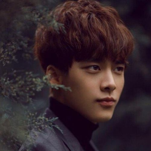 Perruque cheveux courts - Ref 2607658