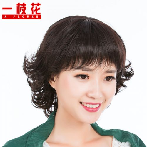 Perruque cheveux courts - Ref 2607725