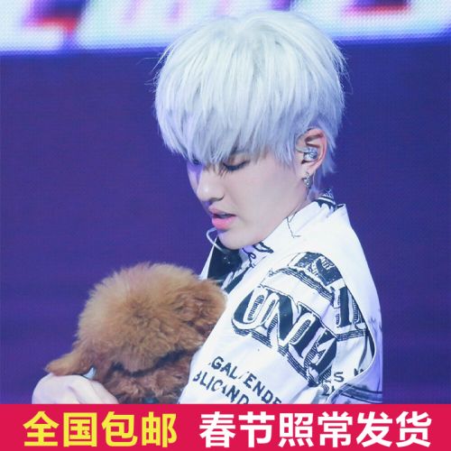 Perruque cheveux raides Court - Ref 2607885