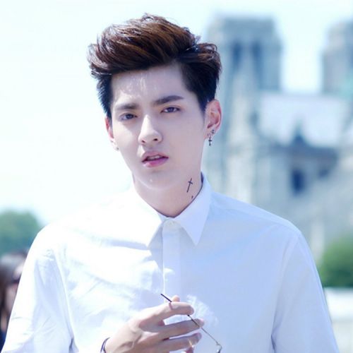 Perruque cheveux raides Court - Ref 2607920