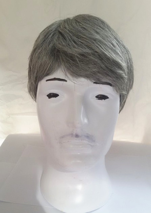 Perruque cheveux raides Court - Ref 2607969