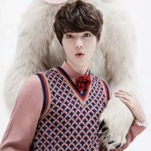 Perruque cheveux courts - Ref 2608172