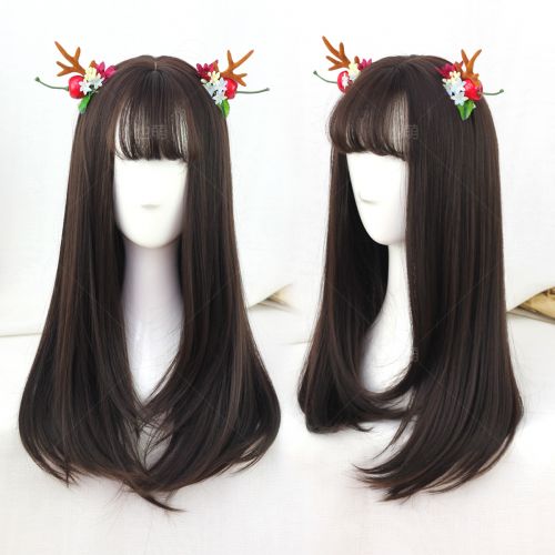 Perruque Long cheveux raides - Ref 2608351