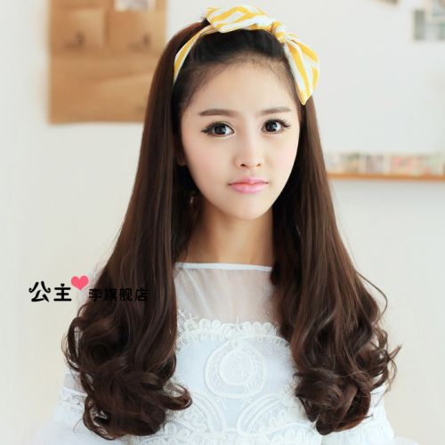 Perruque cheveux longs - Ref 2608374