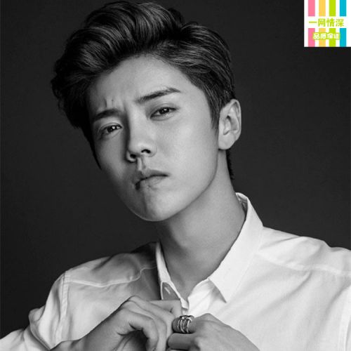 Perruque cheveux courts - Ref 2608533