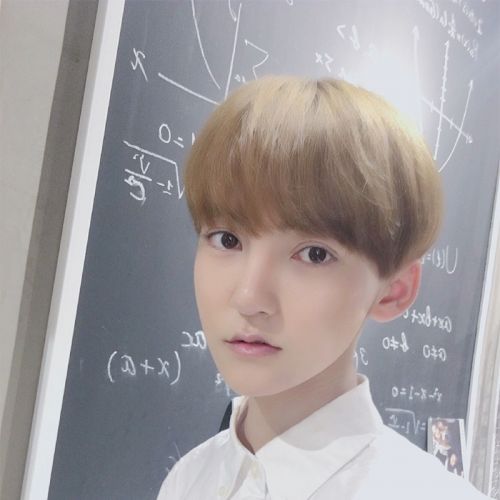 Perruque 8090 cheveux raides Court - Ref 2608574