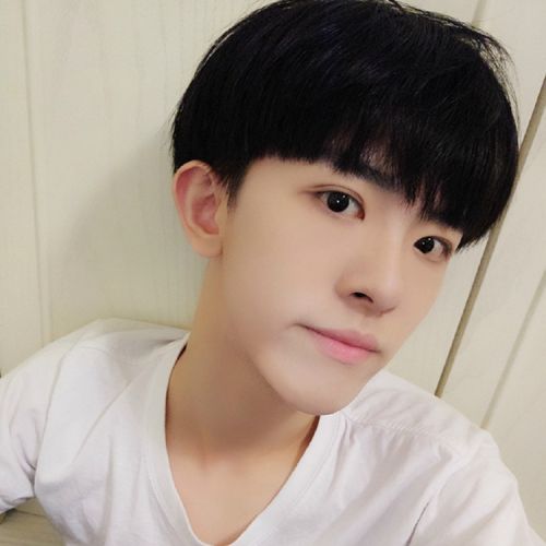 Perruque cheveux raides Court - Ref 2608658