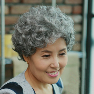 Perruque cheveux courts - Ref 2608666