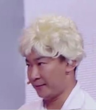 Perruque cheveux courts - Ref 2608709