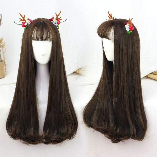 Perruque cheveux longs - Ref 2608816