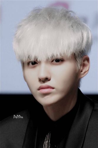 Perruque cheveux raides Court - Ref 2608834