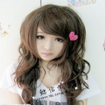 Perruque cheveux longs - Ref 2609008