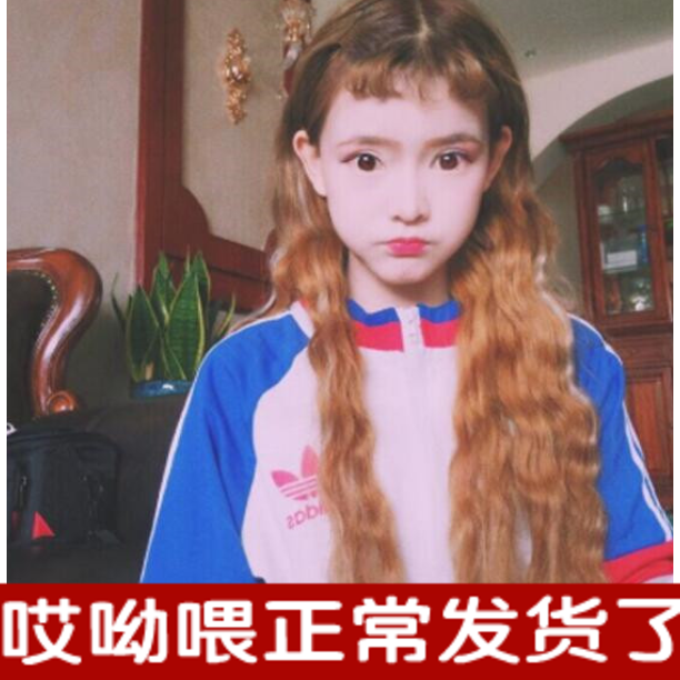 Perruque cheveux longs - Ref 2609100