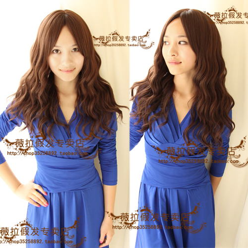 Perruque cheveux longs - Ref 2609138