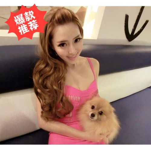 Perruque cheveux longs - Ref 2609332