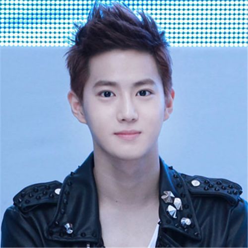 Perruque cheveux raides Court - Ref 2609336