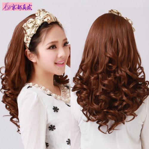 Perruque cheveux longs - Ref 2609411