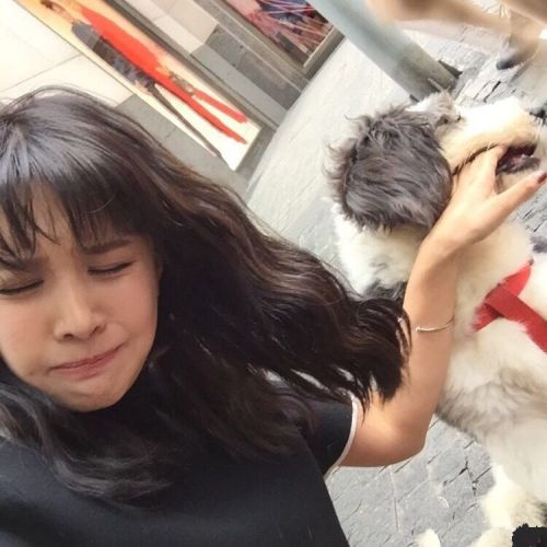 Perruque cheveux courts - Ref 2609530