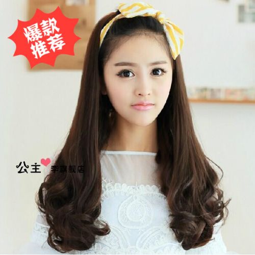 Perruque cheveux longs - Ref 2609702