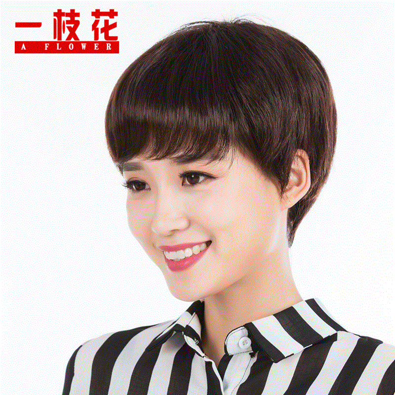 Perruque cheveux raides Court - Ref 2609901