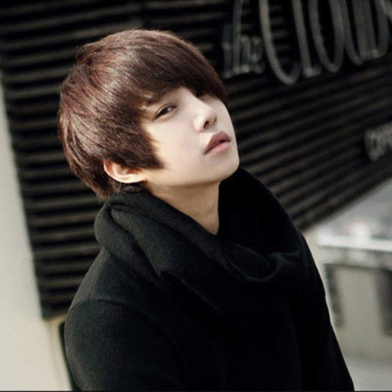 Perruque cheveux raides Court - Ref 2610020