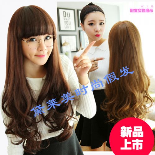 Perruque cheveux longs - Ref 2610022