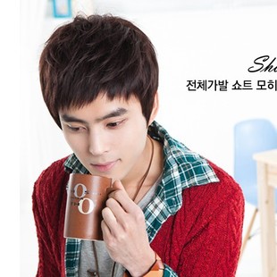 Perruque cheveux raides Court - Ref 2610112