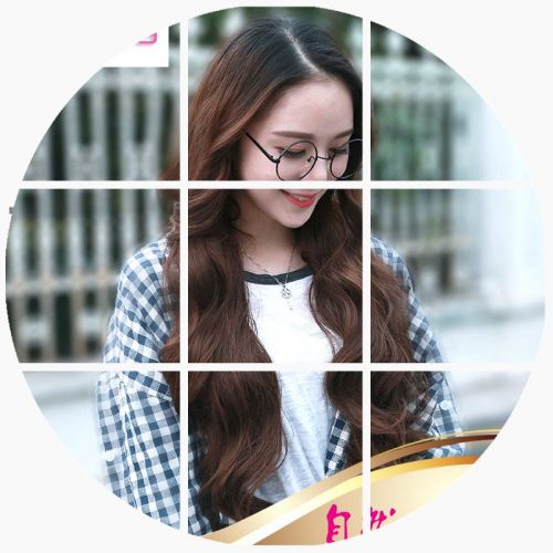 Perruque cheveux longs - Ref 2610156