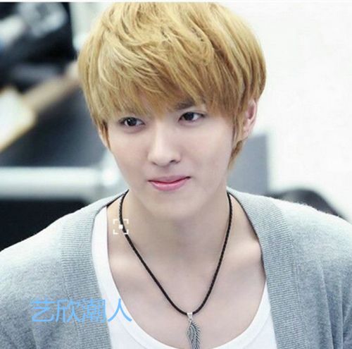 Perruque cheveux raides Court - Ref 2610244