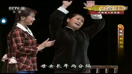 Perruque - Ref 2610969